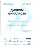 Диплом Финлэндинг